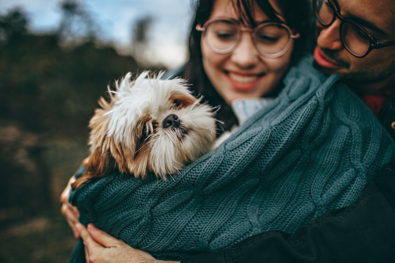 5 Must-Have Essentials for First-Time Pet Parents